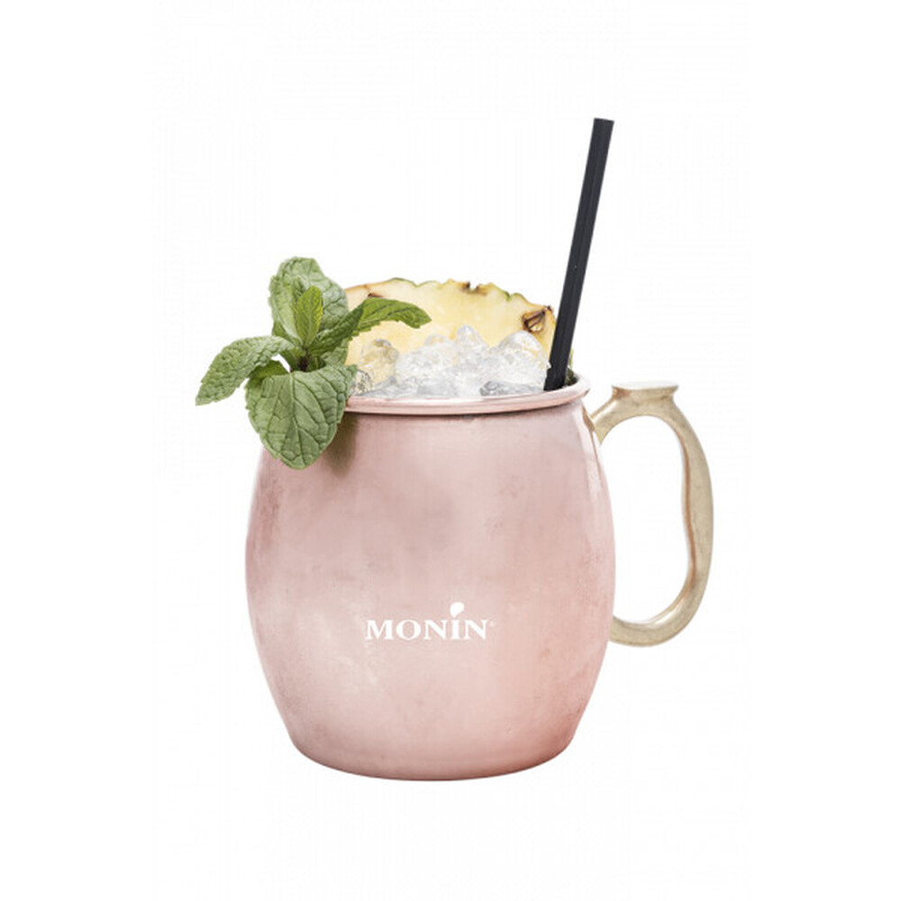 Le fruit ananas MONIN 1L