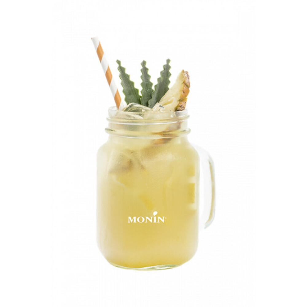 Le fruit ananas MONIN 1L