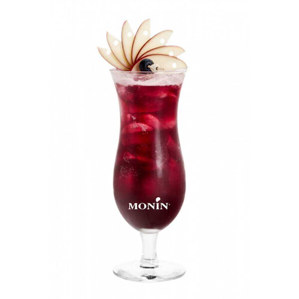 Le fruit myrtille MONIN 1L