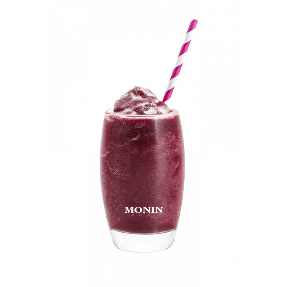 Le fruit myrtille MONIN 1L